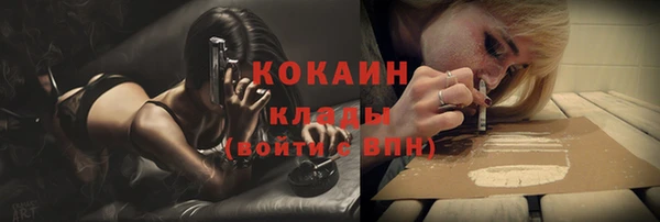 спайс Арсеньев