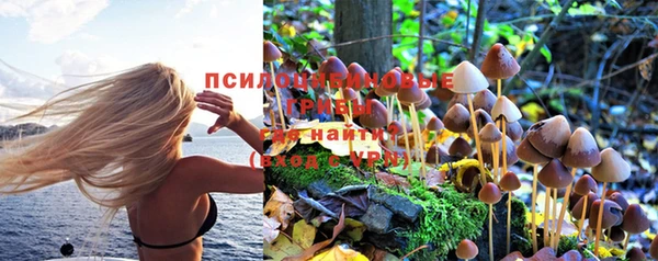хмурый Армянск