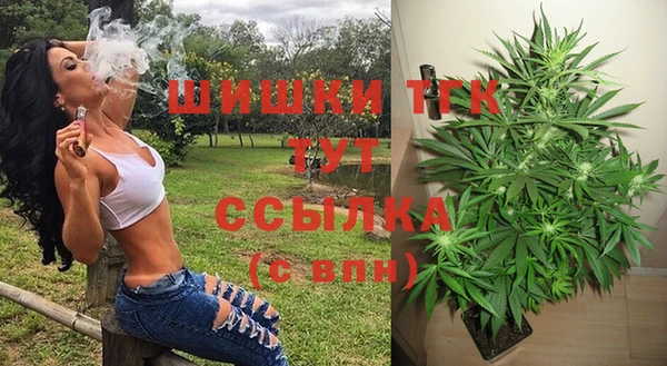 спайс Арсеньев